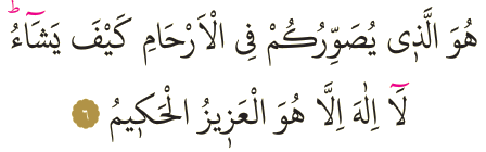 Dosya:Al-i İmran 6.png