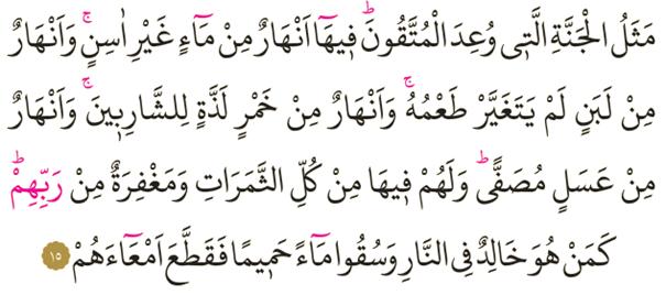 Dosya:Muhammed 15.png