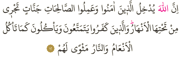Dosya:Muhammed 12.png