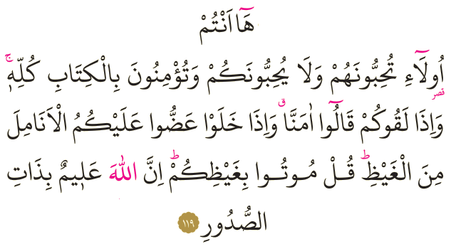 Dosya:Al-i İmran 119.png